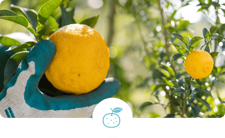 冷凍冷蔵倉庫業